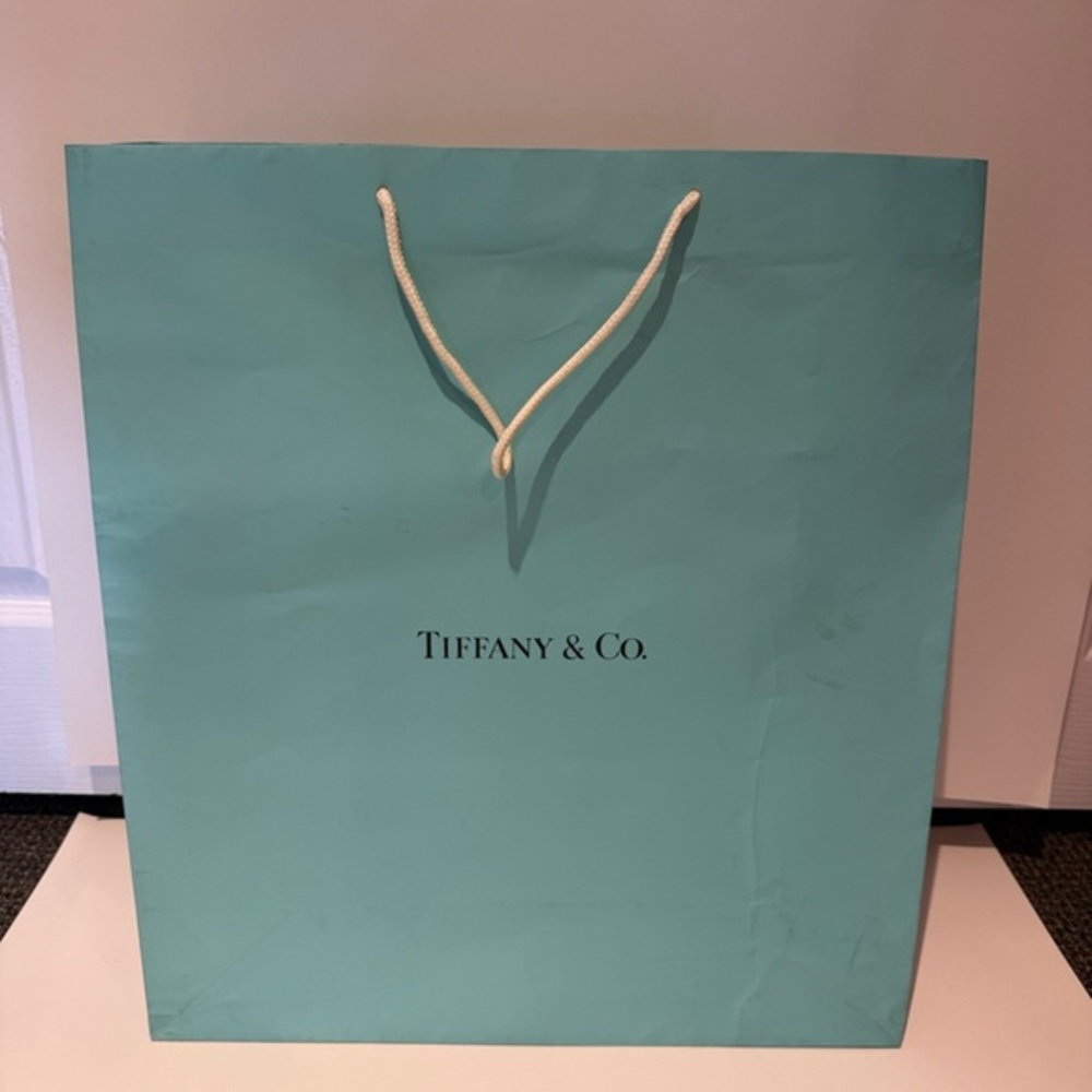 Tiffany & Co. Large Shopping Bag